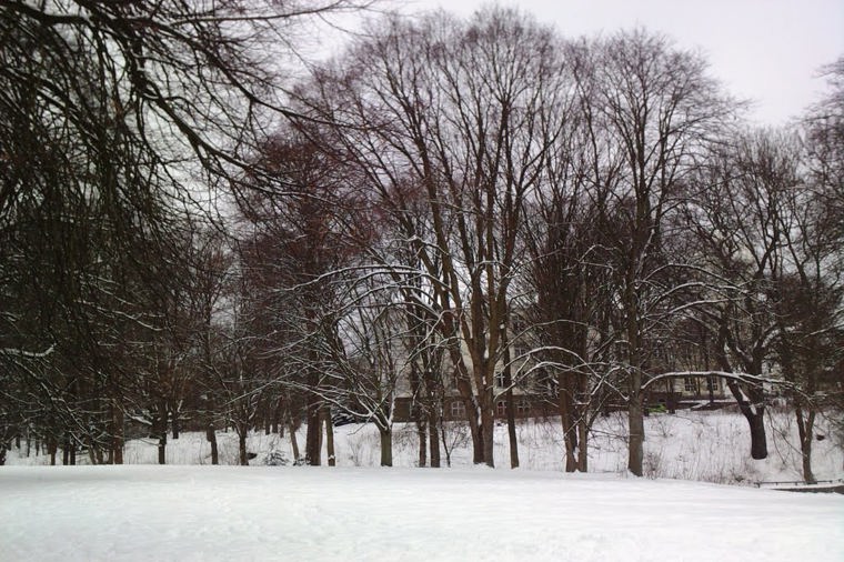 AWO Kinderhaus Mühlenteich in kiel, PLZ 24143 - 2