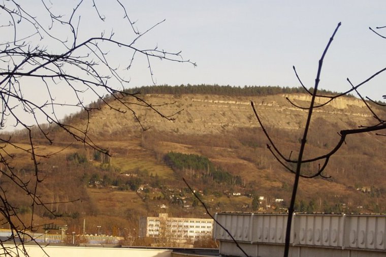 AWO-Kita Wirbelwind in jena, PLZ 07745 - 1