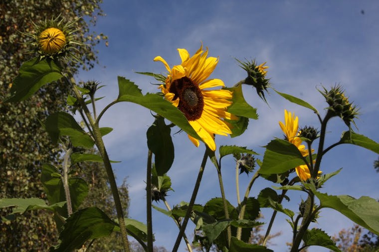 Christl. Kita St. Martin in ilmenau, PLZ 98693 - 2