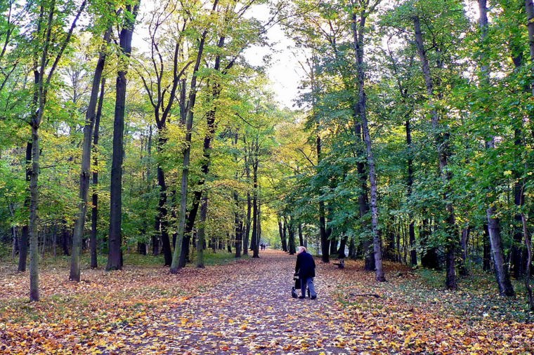 DRK-Kita Sebastian Kneipp in bad blankenburg, PLZ 07422 - 2