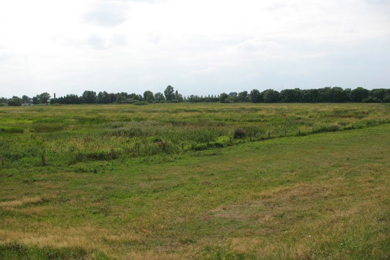 DRK Kita Turnstraße in elmshorn, PLZ 25335 - 1