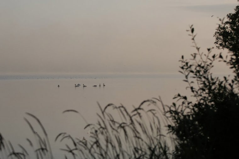 Ev. Kita Bünsdorf in bünsdorf, PLZ 24794 - 2