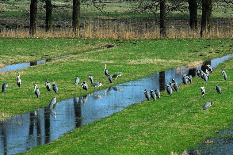 Ev. Kita Elb Arche in haseldorf, PLZ 25489 - 1