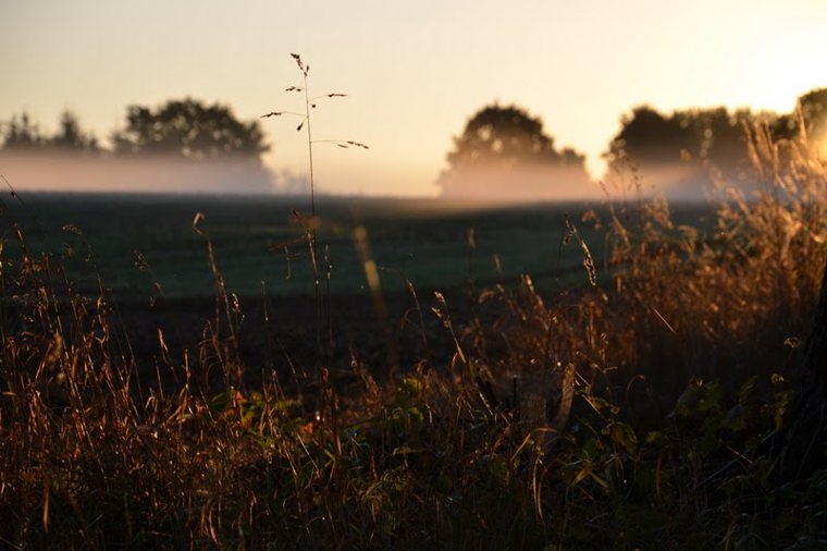Ev. Kita Hasselburg in altenkrempe, PLZ 23730 - 2