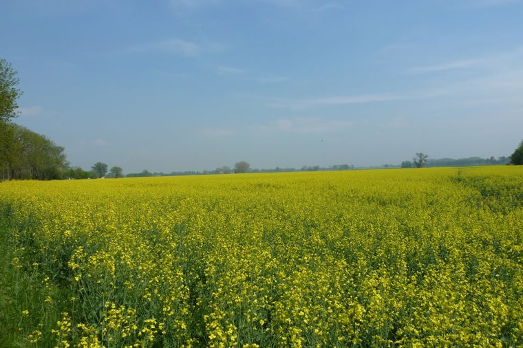 Ev.-luth. Johannes Kindergarten in seester, PLZ 25370 - 1