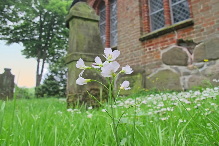 Ev.-luth. Johannes Kindergarten in seester, PLZ 25370 - 2