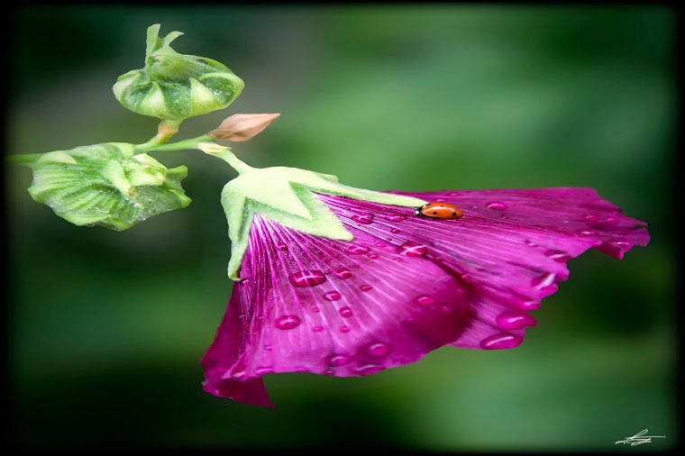 Ev.-luth. Kita Griechenzentrum in lübeck, PLZ 23560 - 1