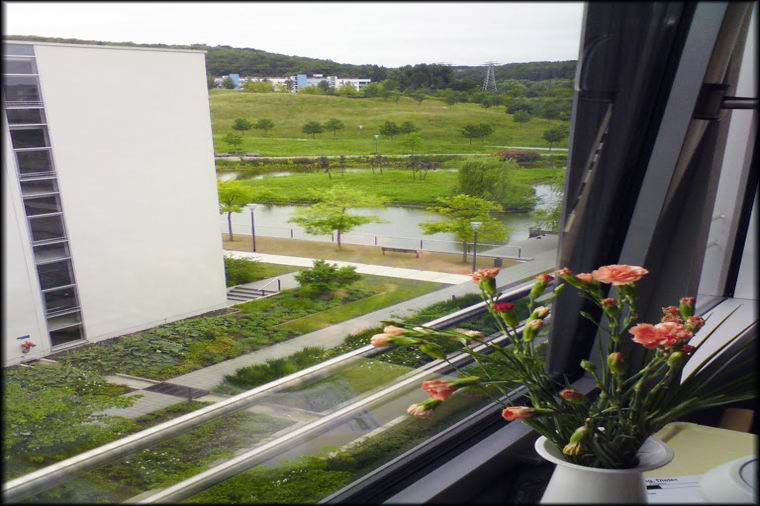 Evang. Kinderhaus am Drosselberg in erfurt, PLZ 99097 - 1