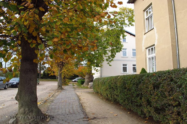 Evang. Kindertagesstätte Drümpelspatzen in bad doberan, PLZ 18209 - 2