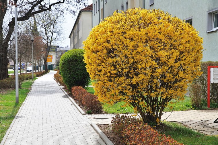 Evang. Kita Heinrichsstift in gera, PLZ 07551 - 1