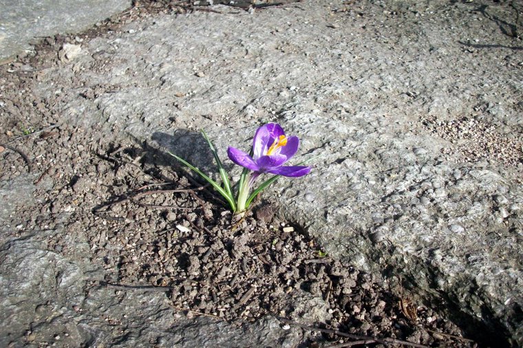 Evang. Kita Johannes Falk in weimar, PLZ 99425 - 1