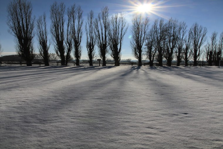 Evang. Kita Wispezwerge in gera, PLZ 07551 - 2