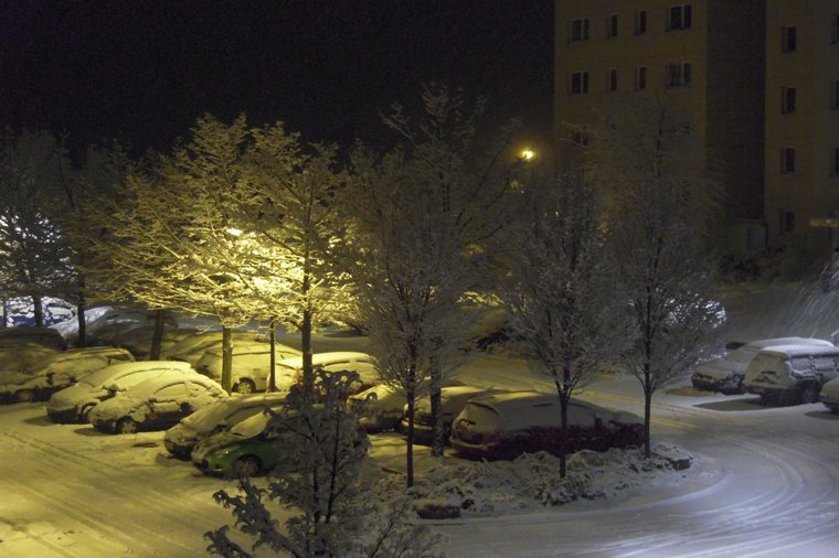 Evang. Waldkindergarten in erfurt, PLZ 99097 - 1