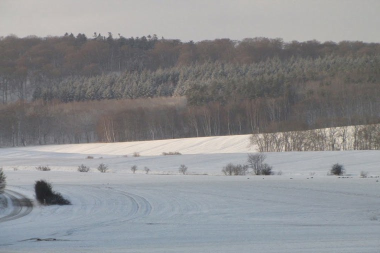 Evangelische Kindertagesstätte "Bunte Arche" in neukalen, PLZ 17154 - 2