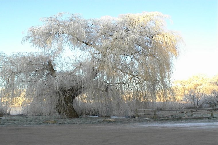 Evangelische Kindertagesstätte Crivitz in crivitz, PLZ 19089 - 2