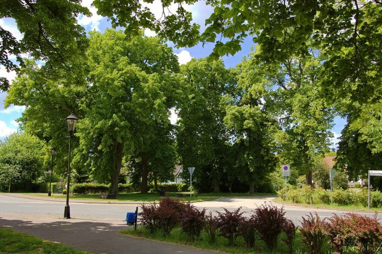 Freier Kindergarten Gelbensande e.V. in gelbensande, PLZ 18182 - 2