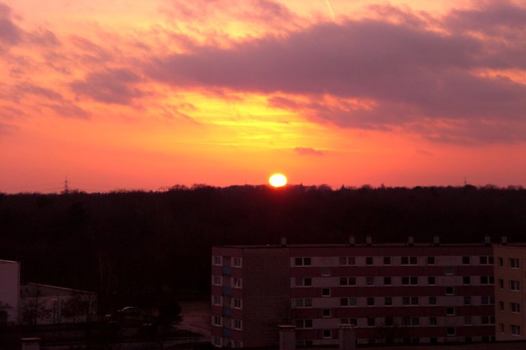 Hort am Pädagogium Schwerin in schwerin, PLZ 19063 - 1