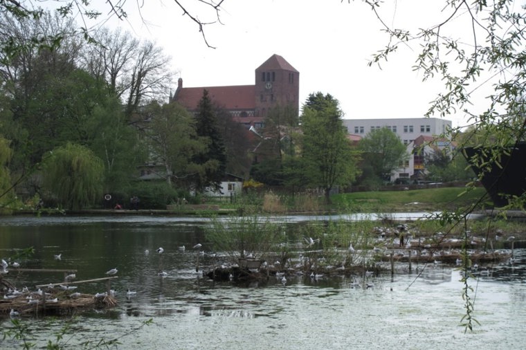 Hort der Evangelischen Grundschule Waren in waren (müritz), PLZ 17192 - 1