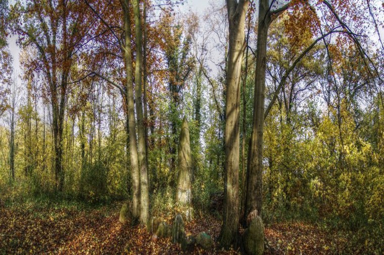 Hort der Freien Schule Rügen in dreschvitz, PLZ 18573 - 1