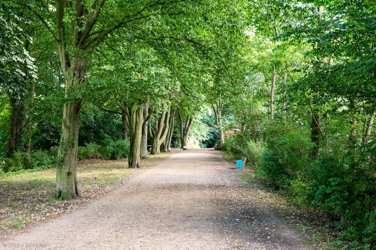 Hort in der Domschule in lübeck, PLZ 23552 - 1