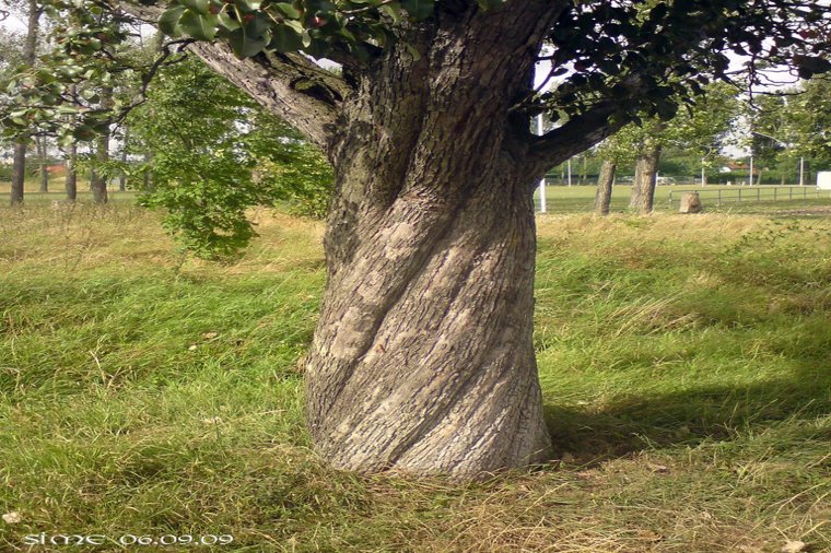Integrative AWO-Kita Buchenberg in erfurt, PLZ 99097 - 1