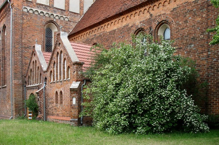 Integrative Kindertageseinrichtung "Plappermühle" Haus II in röbel, PLZ 17207 - 2