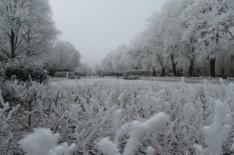 Integrative Kindertagesstätte Augustenstraße in rostock, PLZ 18055 - 1