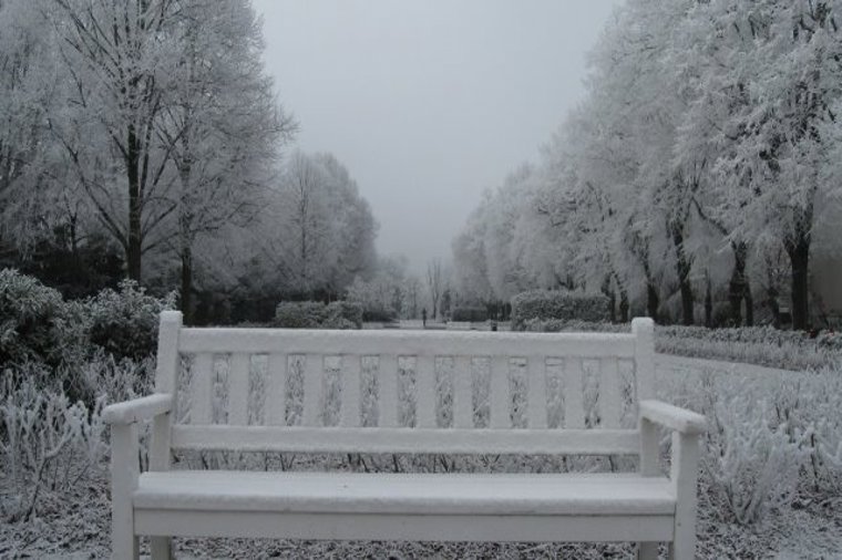 Integrative Kindertagesstätte Augustenstraße in rostock, PLZ 18055 - 2