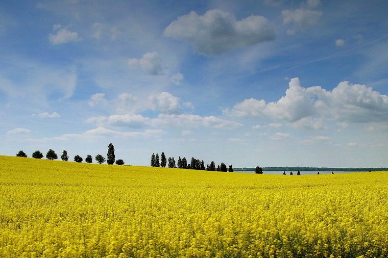 Integrative Kindertagesstätte "Für ALLE" in retgendorf, PLZ 19067 - 2