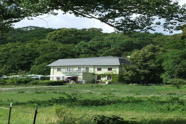 Integrative Kindertagesstätte "Maja und Willy" in neubrandenburg, PLZ 17033 - 2