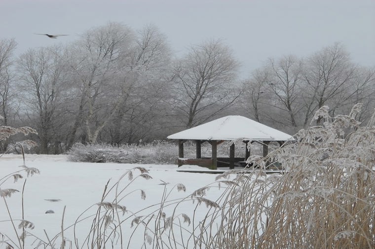 Integrative Kindertagesstätte "Zwergenhaus" in rostock, PLZ 18147 - 1