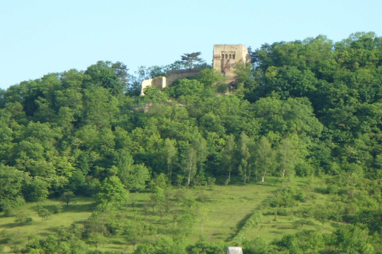 Integrative Kita Frechdachs in jena, PLZ 07747 - 2