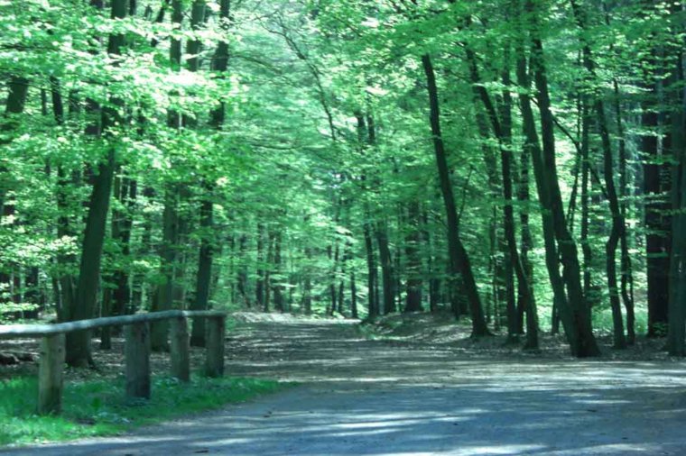 Integrative Kita Kleine Schlossgeister in gelbensande, PLZ 18182 - 1