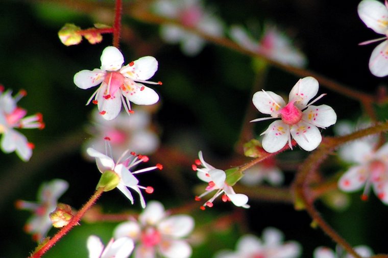 Integrative Kita Schmetterling in erfurt, PLZ 99092 - 1