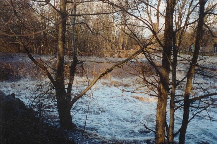 Integrative Kita Traumzauberbaum in nordhausen, PLZ 99734 - 1