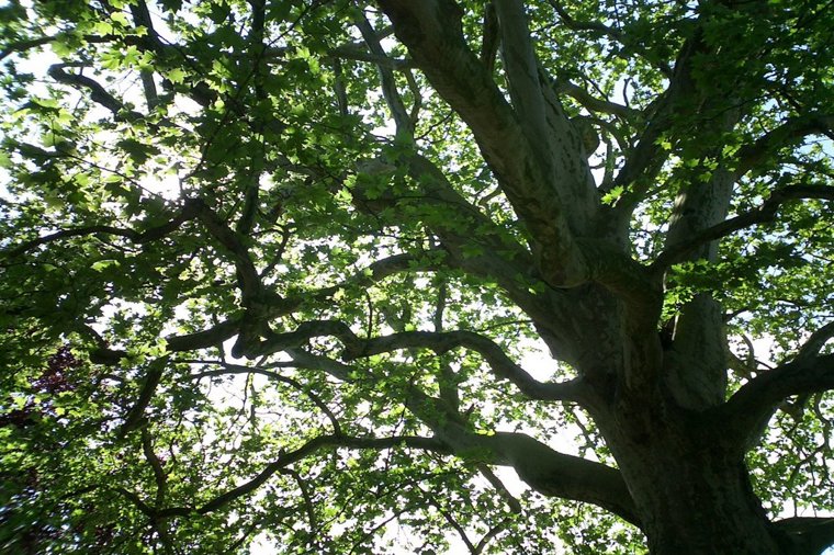 Kath. Kinderhaus St. Nikolaus in kiel, PLZ 24103 - 2