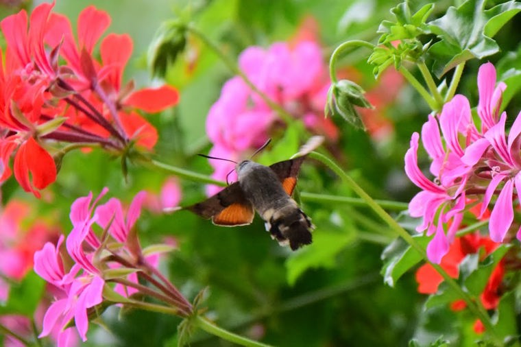 Katholischer Kindergarten St. Josef in erfurt, PLZ 99089 - 1