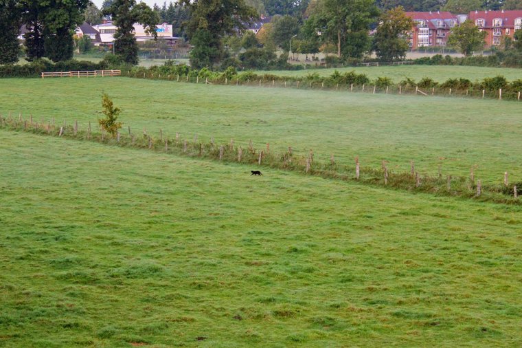 Kindergarten Fruchtkorb in schenefeld, PLZ 22869 - 2
