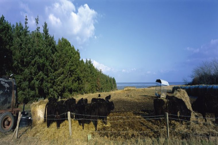 Kindergarten Keitum in sylt/keitum, PLZ 25980 - 2