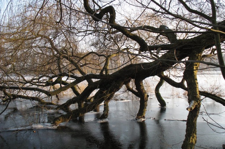 Kindergarten Kleine Früchtchen in bordesholm, PLZ 24582 - 1