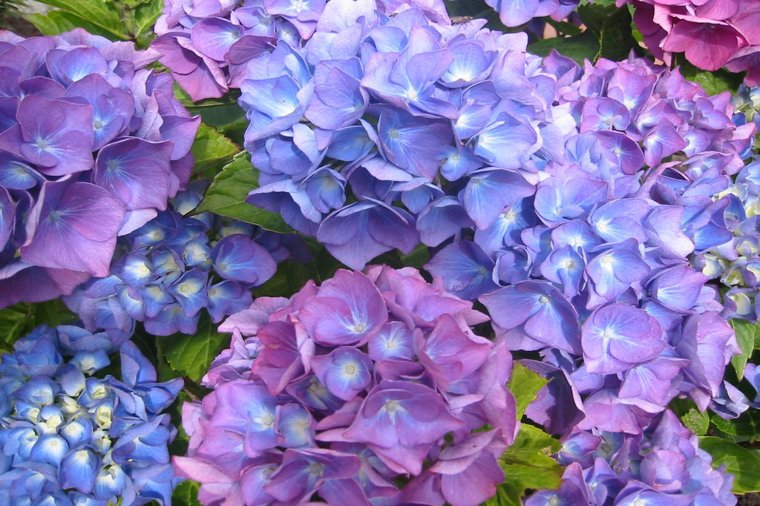 Kindergarten Lebenshilfe Südtondern in niebüll, PLZ 25899 - 2