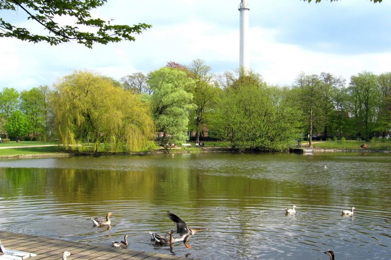 Kindergarten Luthergemeinde in kiel, PLZ 24116 - 2