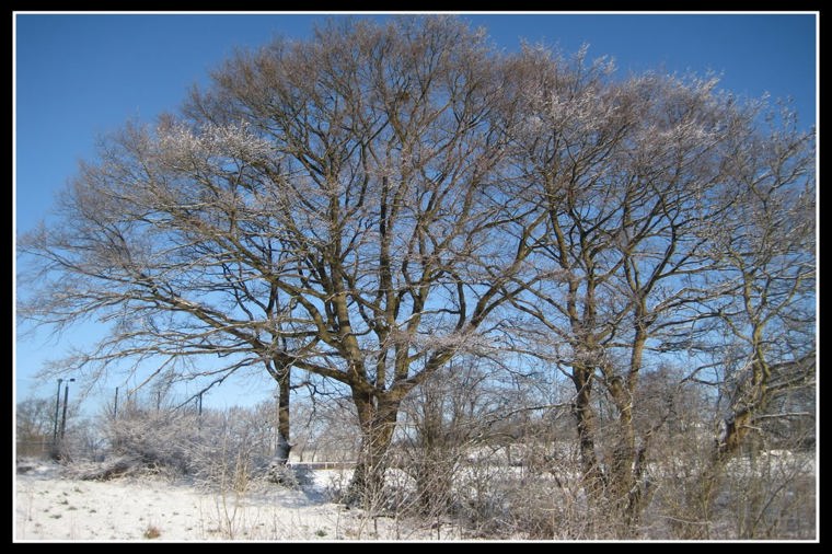 Kindergarten Melsdorf in melsdorf, PLZ 24109 - 2