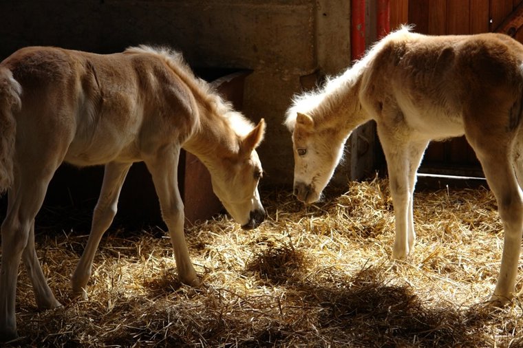 Kindergarten Meura in meura, PLZ 98744 - 2