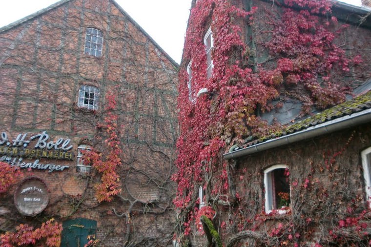 Kindergarten Rappelkiste in lütjenburg, PLZ 24321 - 2