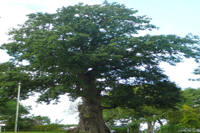 Kindergarten Schwedeneck in schwedeneck, PLZ 24229 - 2