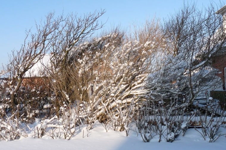Kindertagesstätte Am Nordkamp in westerland, PLZ 25980 - 1