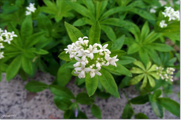 Kindertagesstätte "Am Sportplatz" in ermstedt, PLZ 99192 - 1