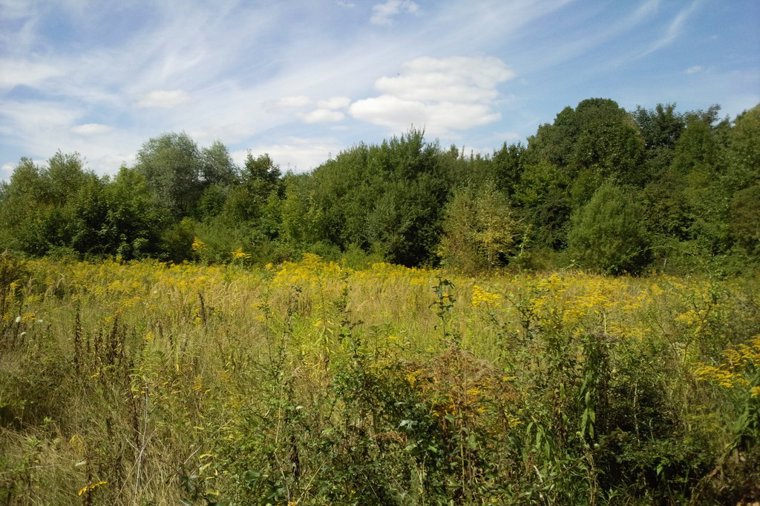 Kindertagesstätte Anne Frank in weimar, PLZ 99423 - 1