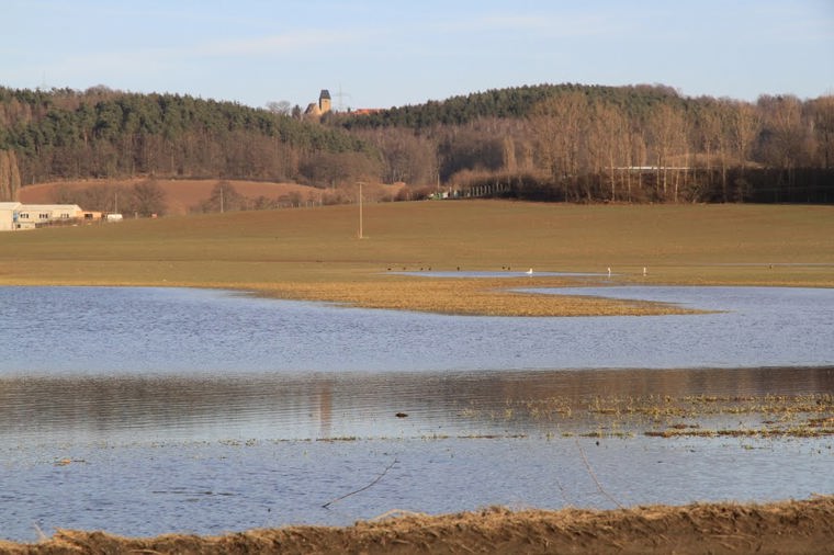 Kindertagesstätte "Bussi Bär" in wünschendorf/elster, PLZ 07570 - 2